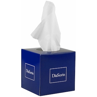 Lommetørklær Merriam